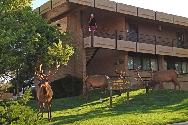 Kachina Lodge Grand Canyon エクステリア 写真